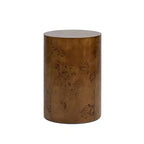 Jennifer Taylor Home Nebula 22 Accent Pillar Side Table, Medium Brown Walnut Burl Wood