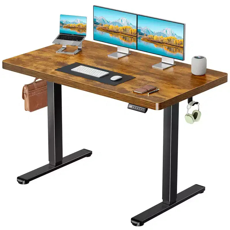 48 x 30 In Electric Standing Desk with One-Piece Desktop, Sit Stand Desk with Thickened Tabletop, Height Adjustable Stand Up Desk